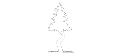 Twisted Pine Publishing Logo